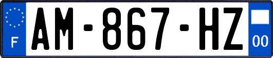 AM-867-HZ