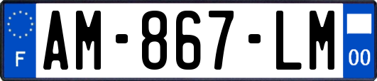 AM-867-LM