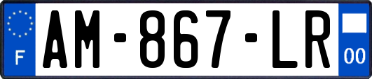 AM-867-LR