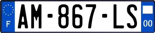 AM-867-LS