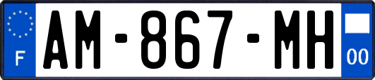 AM-867-MH