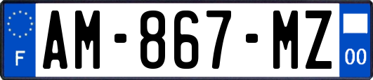 AM-867-MZ