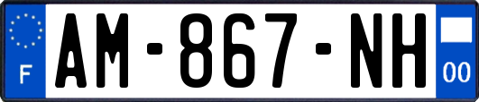 AM-867-NH