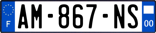 AM-867-NS