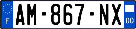 AM-867-NX