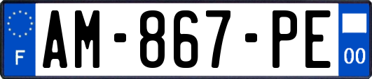 AM-867-PE
