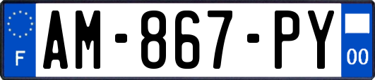 AM-867-PY