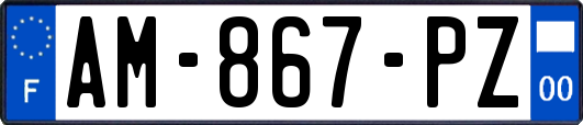 AM-867-PZ