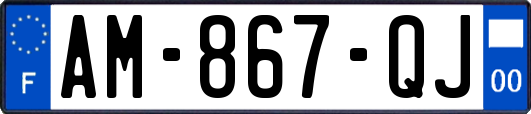AM-867-QJ