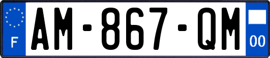 AM-867-QM