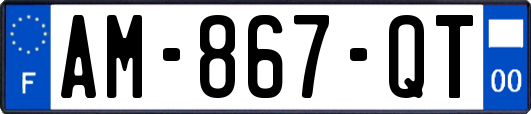 AM-867-QT