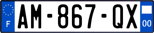 AM-867-QX