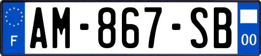AM-867-SB