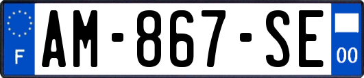 AM-867-SE