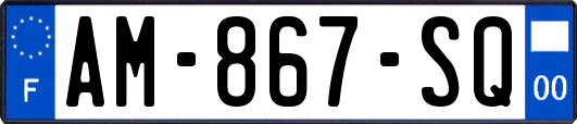 AM-867-SQ