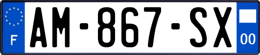 AM-867-SX