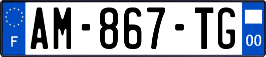 AM-867-TG