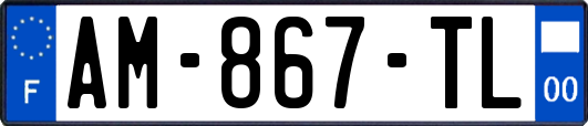 AM-867-TL