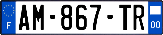 AM-867-TR