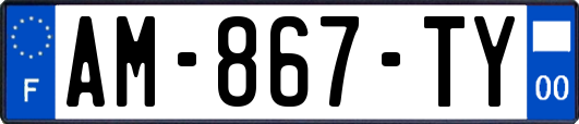 AM-867-TY