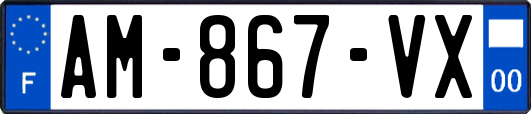 AM-867-VX