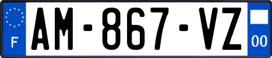 AM-867-VZ
