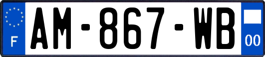 AM-867-WB