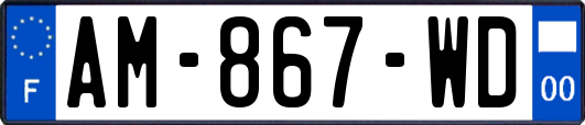 AM-867-WD