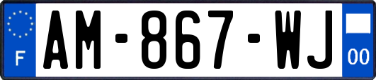 AM-867-WJ
