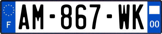 AM-867-WK