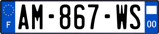 AM-867-WS