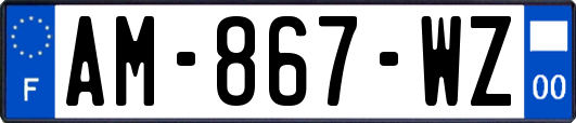 AM-867-WZ
