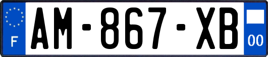 AM-867-XB