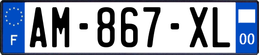 AM-867-XL