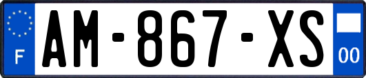 AM-867-XS