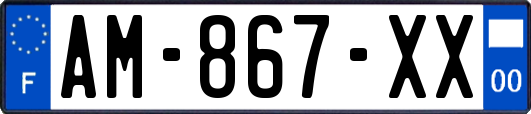 AM-867-XX