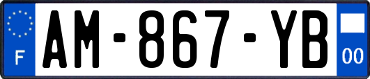 AM-867-YB