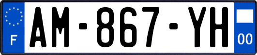 AM-867-YH