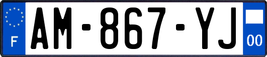 AM-867-YJ