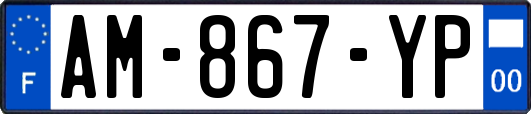 AM-867-YP