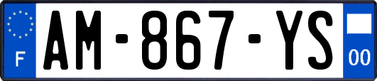 AM-867-YS