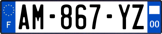AM-867-YZ