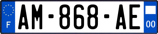 AM-868-AE