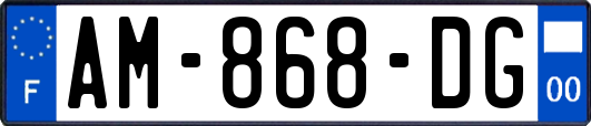 AM-868-DG