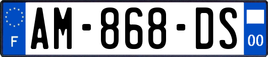 AM-868-DS