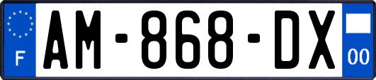 AM-868-DX