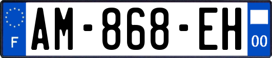 AM-868-EH