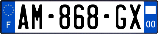 AM-868-GX