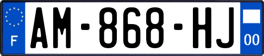 AM-868-HJ