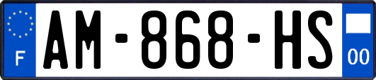 AM-868-HS